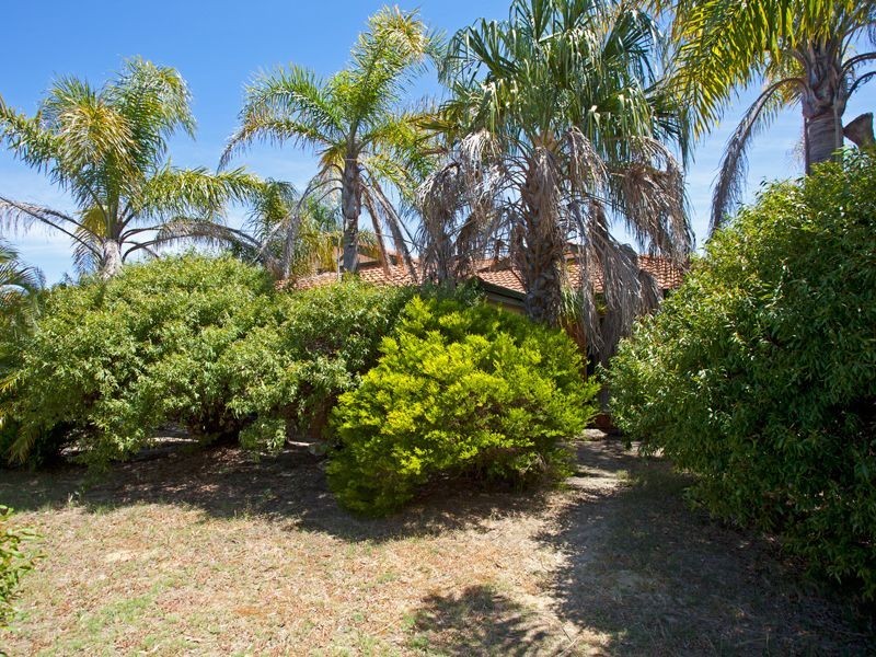 18 Claredon Court, Alexander Heights WA 6064