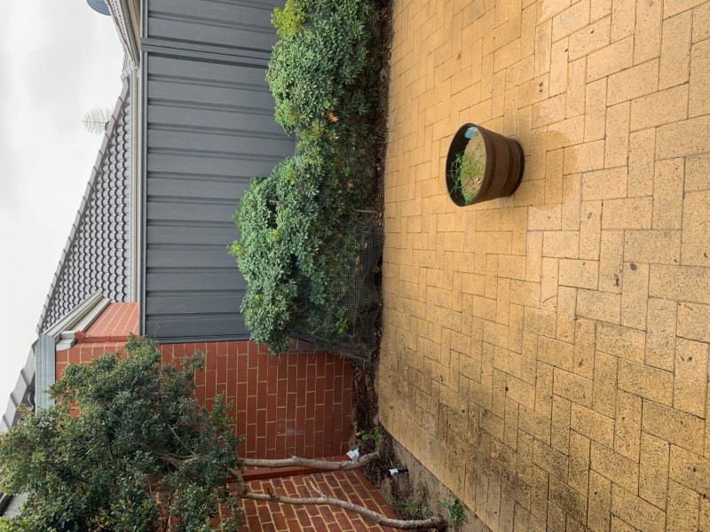 11 Scadden St, Bassendean WA 6054