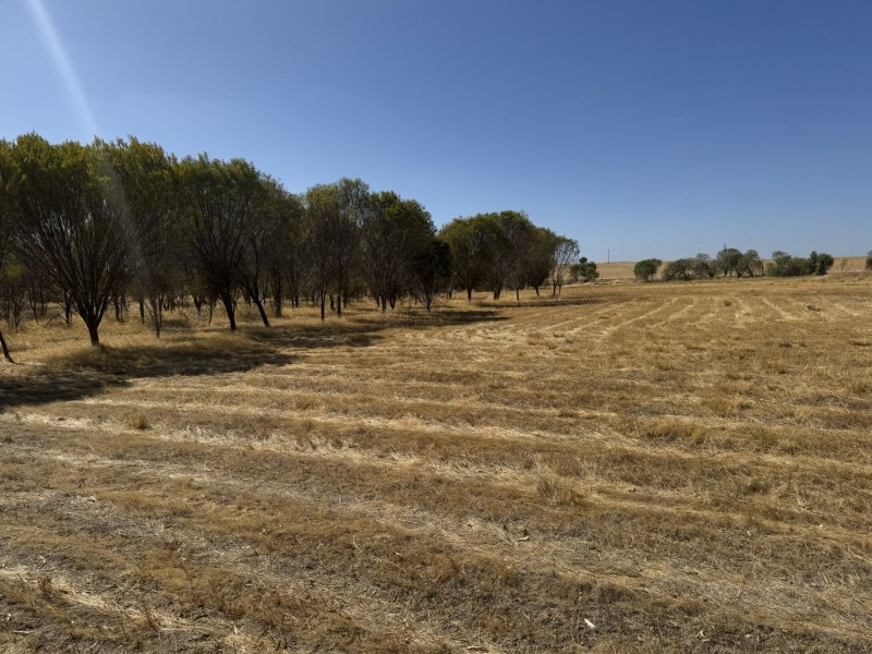 30 Simmons Road, Beverley WA 6304