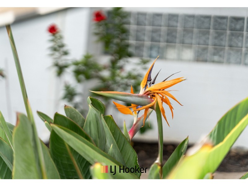 19/227 Cambridge Street, Wembley WA 6014