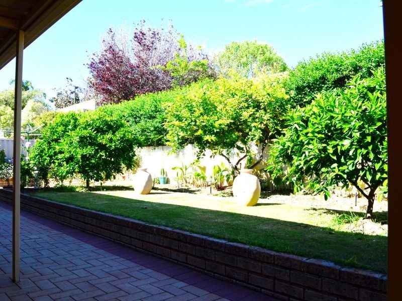 19 Bluebay Hill, Ballajura WA 6066