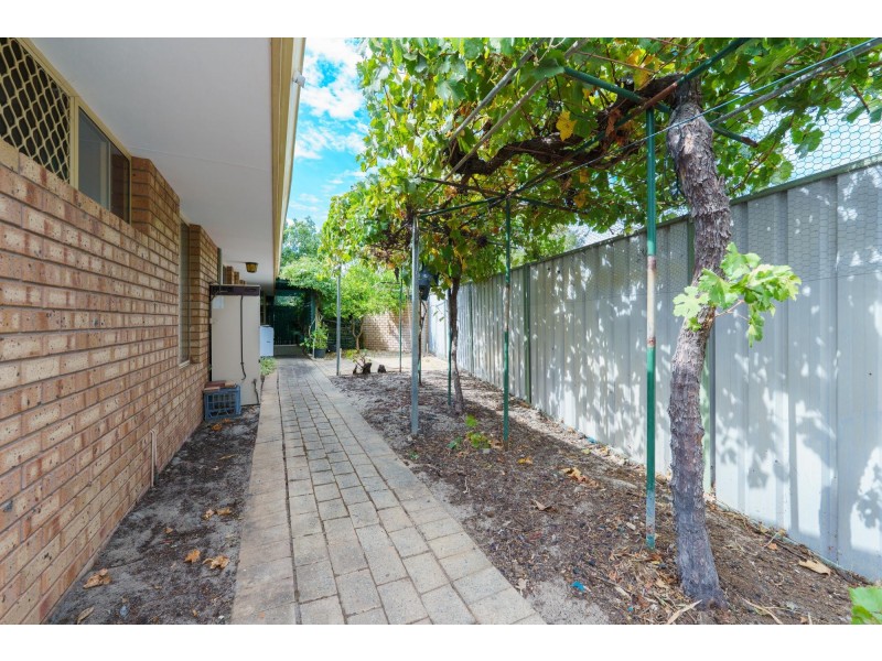 62 Corrington Circle, Nollamara WA 6061