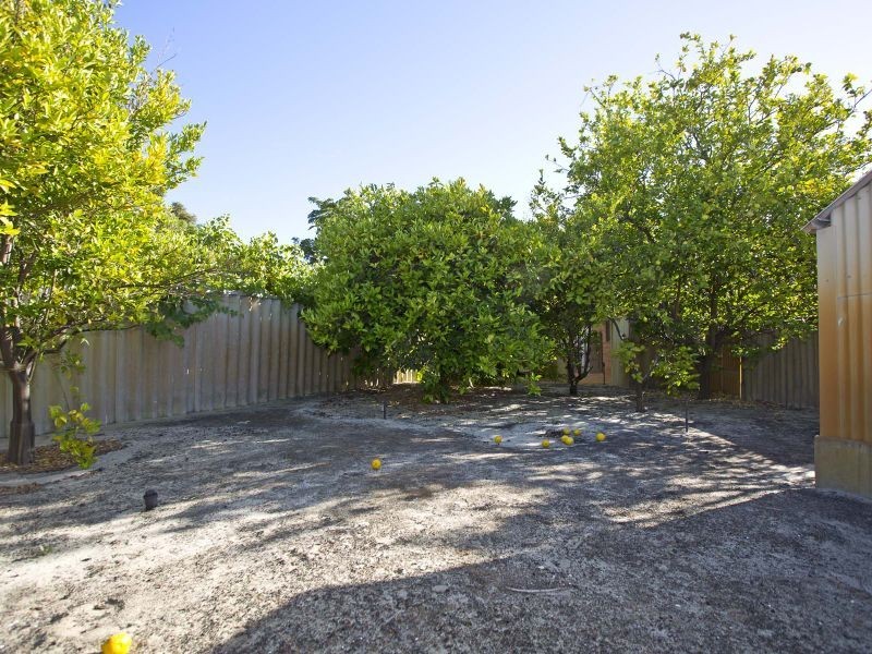 66 Dampier Loop, Mirrabooka WA 6061