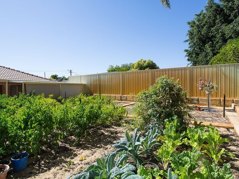 22 Oakleaf Circle, Mirrabooka WA 6061