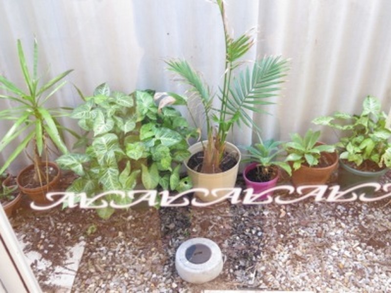 8A Loughton Way, Balga WA 6061