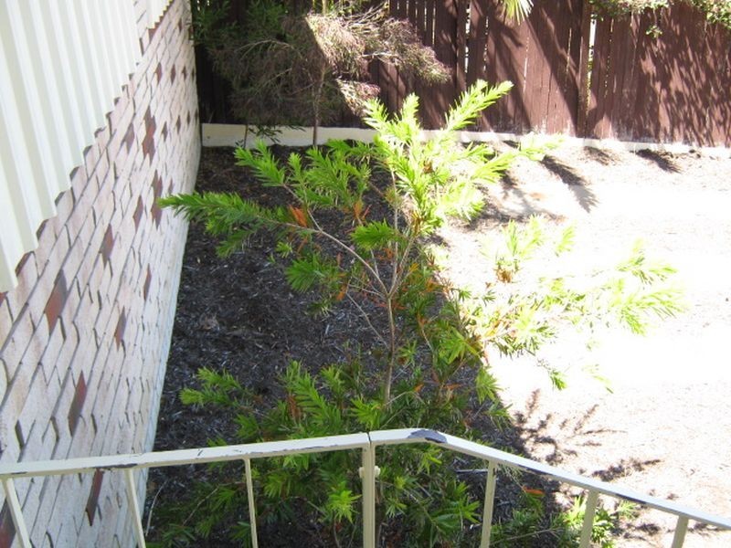 58 Girrawheen Avenue, Girrawheen WA 6064