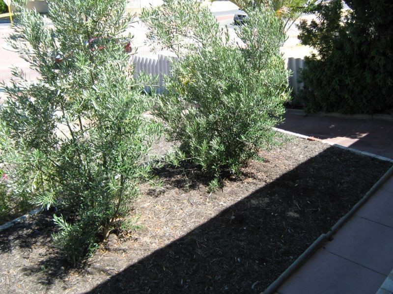 58 Girrawheen Avenue, Girrawheen WA 6064