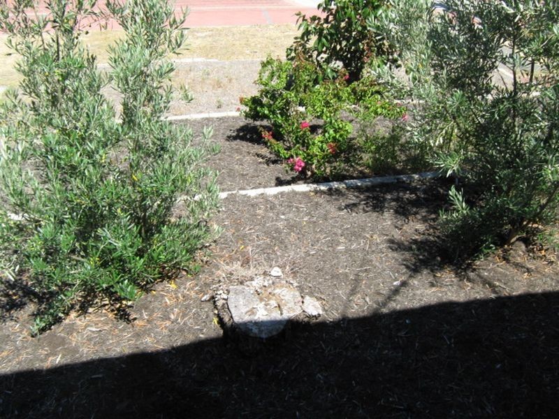 58 Girrawheen Avenue, Girrawheen WA 6064