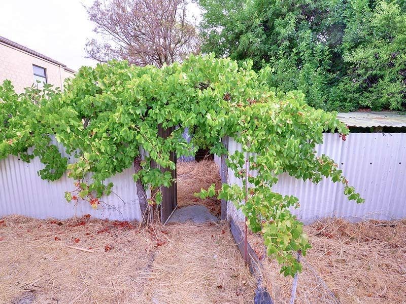 174 Morley Drive, Yokine WA 6060