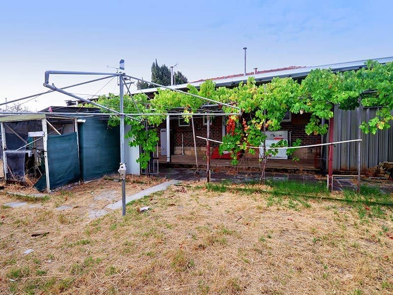 174 Morley Drive, Yokine WA 6060