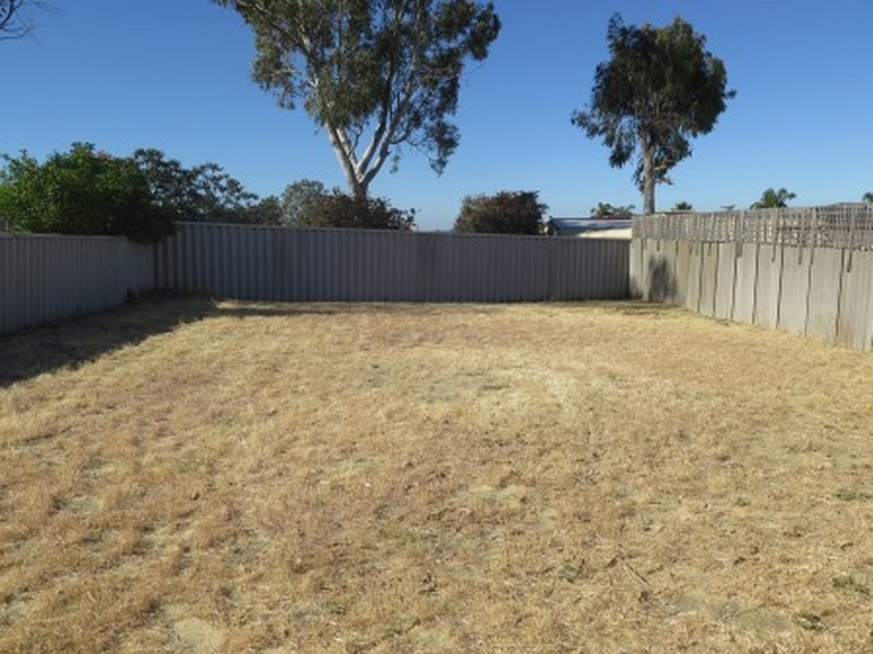 18 Allspice Vista, Mirrabooka WA 6061