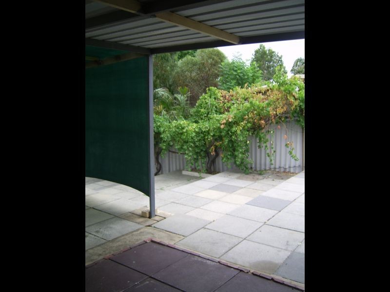 59 Wintersweet Ramble, Mirrabooka WA 6061