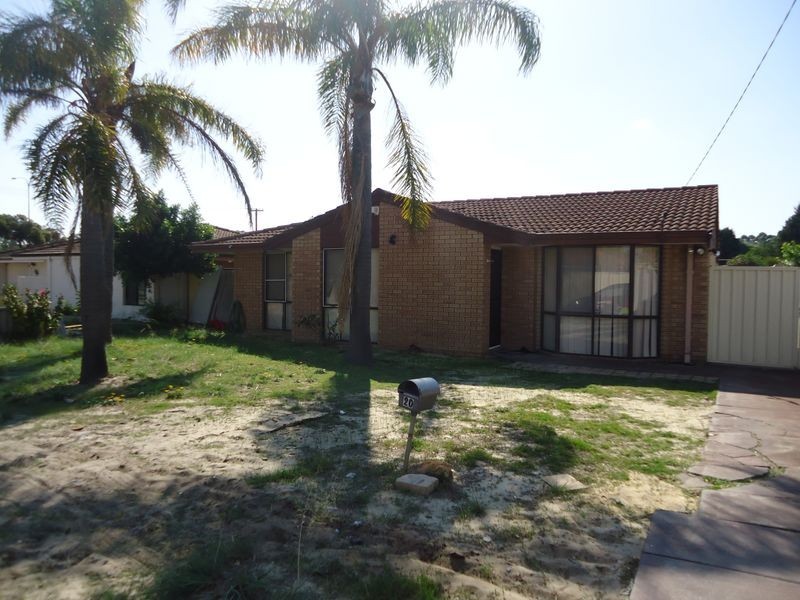 20 Mottlecah Way, Mirrabooka WA 6061