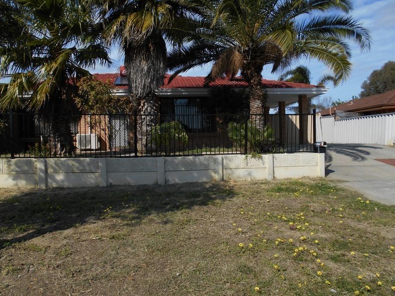 16 Appleblossom Drive, Mirrabooka WA 6061