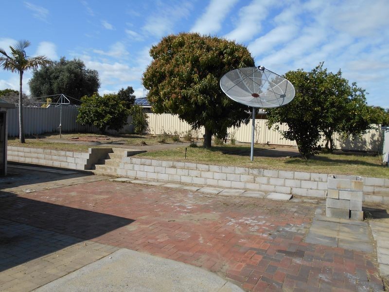 16 Appleblossom Drive, Mirrabooka WA 6061