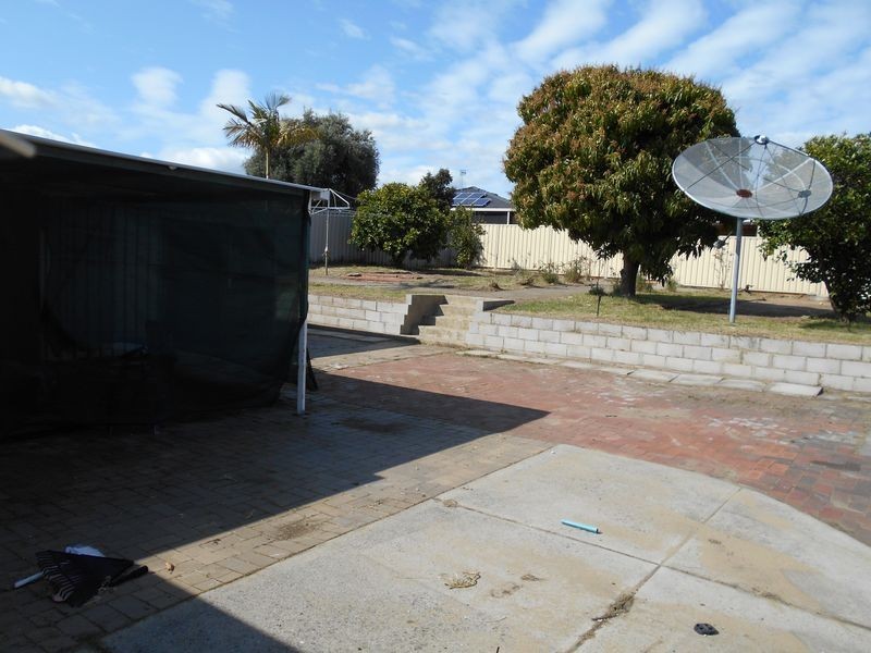 16 Appleblossom Drive, Mirrabooka WA 6061