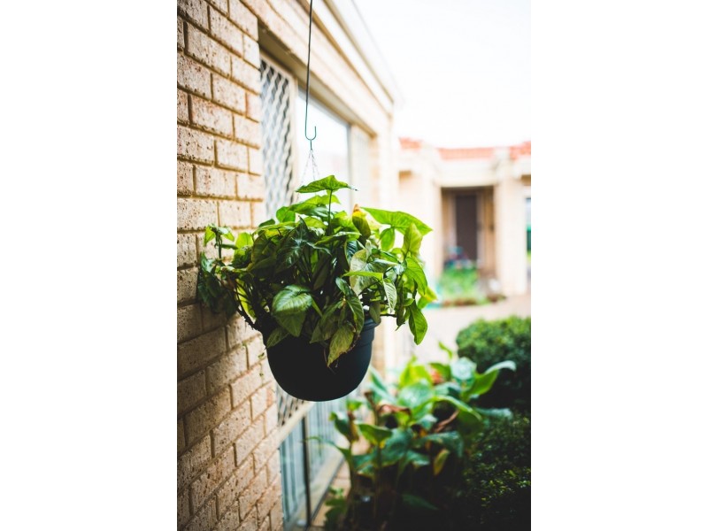 3/9 St Kilda Road, Balga WA 6061