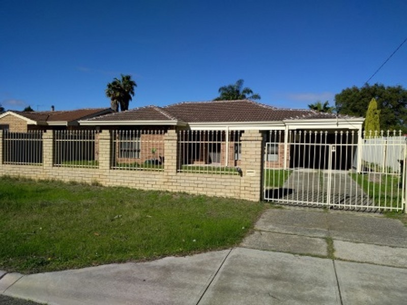 19 Mottlecah Way, Mirrabooka WA 6061
