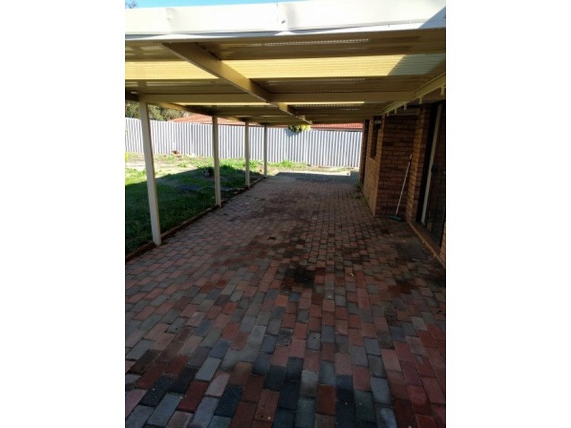 19 Mottlecah Way, Mirrabooka WA 6061