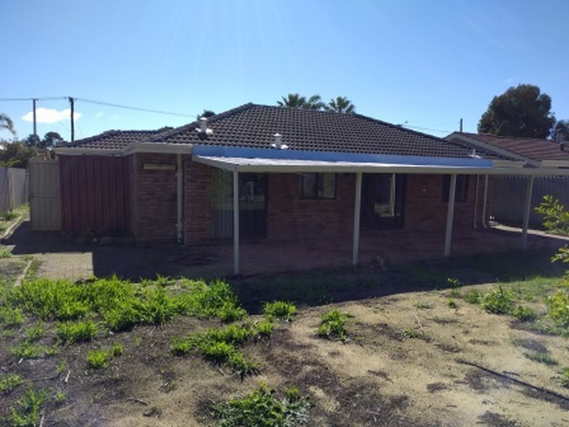 19 Mottlecah Way, Mirrabooka WA 6061