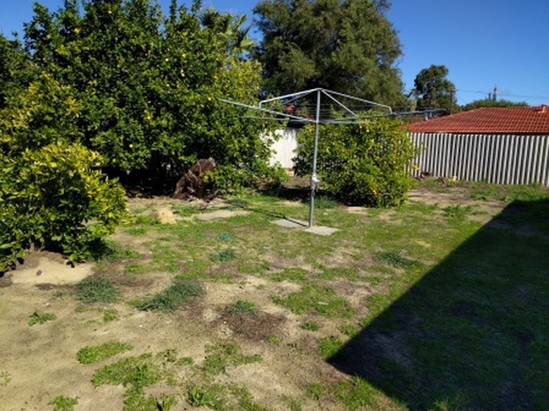 19 Mottlecah Way, Mirrabooka WA 6061