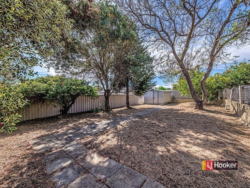 20 Pendula Gardens, Mirrabooka WA 6061