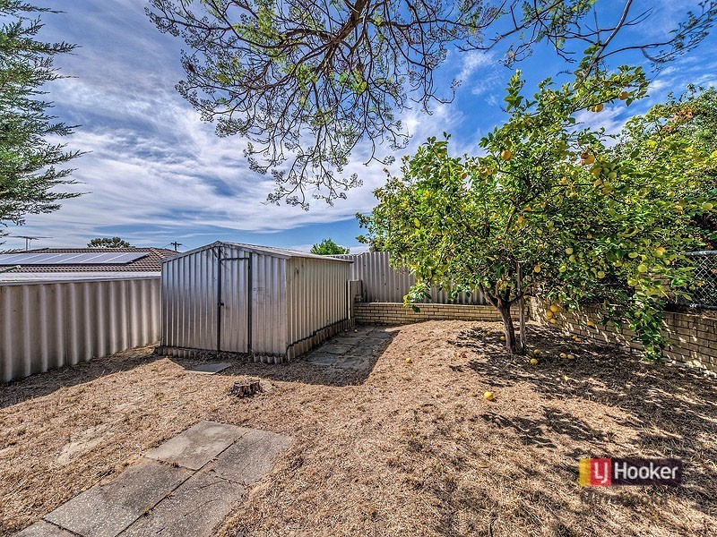 20 Pendula Gardens, Mirrabooka WA 6061