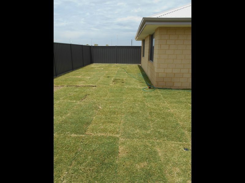 5 Limetta Grove, Landsdale WA 6065