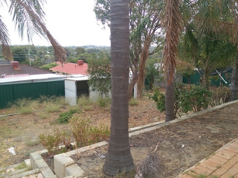 20 Liquidambar Heights, Mirrabooka WA 6061