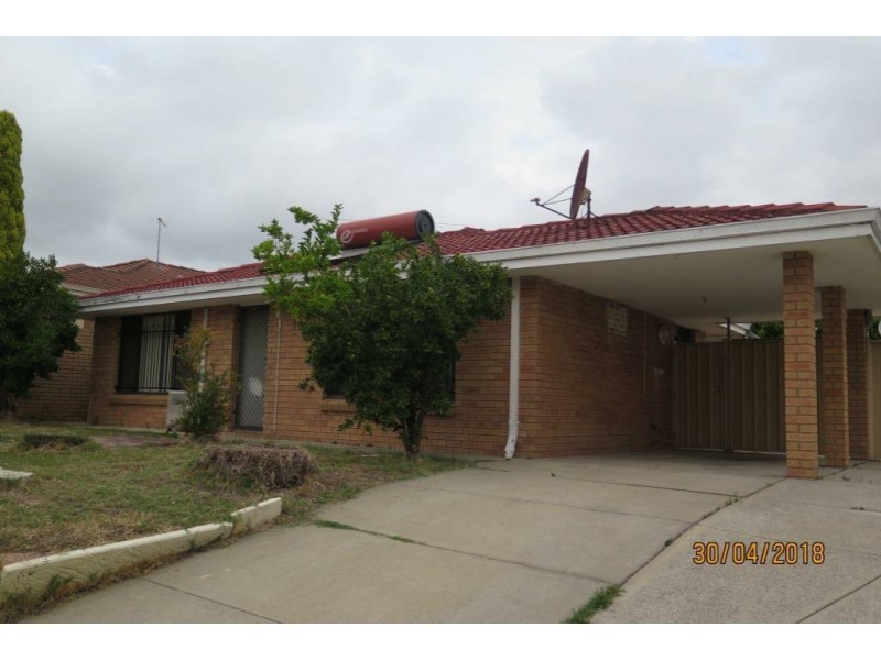 16 Appleblossom Drive, Mirrabooka WA 6061