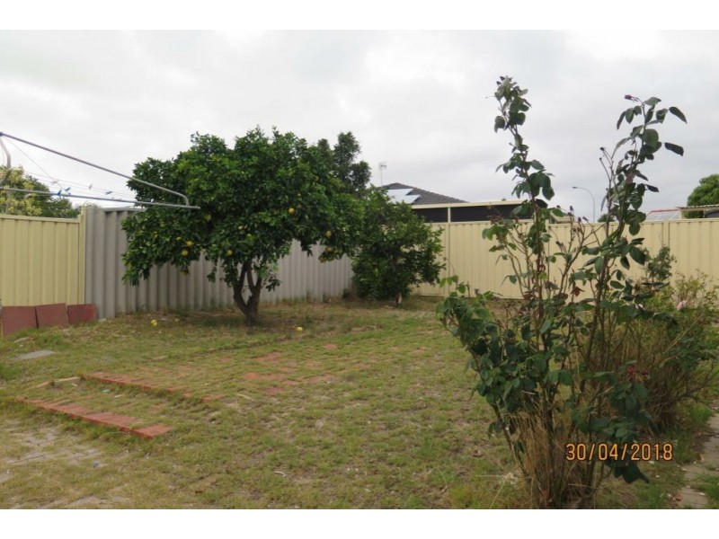 16 Appleblossom Drive, Mirrabooka WA 6061