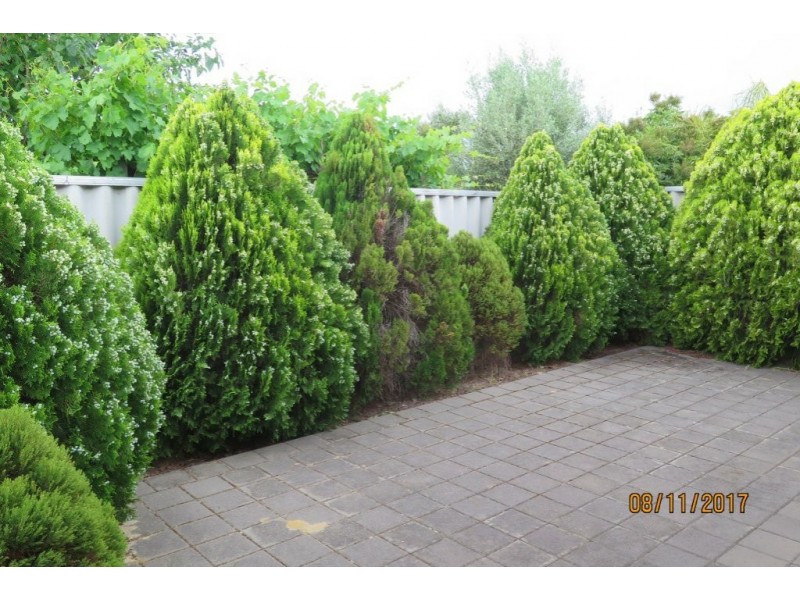 2/21 Chipala Road, Westminster WA 6061