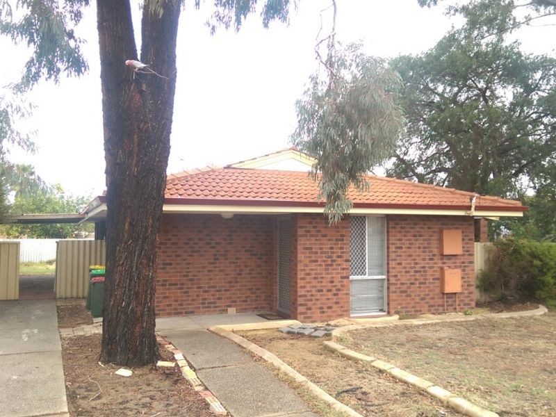 43 Mirrabooka Avenue, Westminster WA 6061