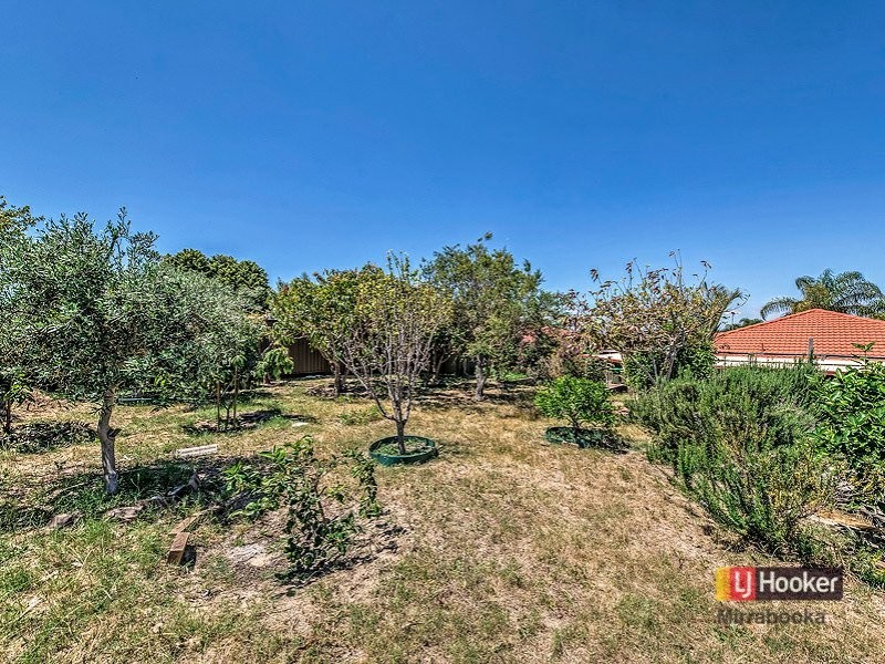 100 Apple Blossom Dr, Mirrabooka WA 6061