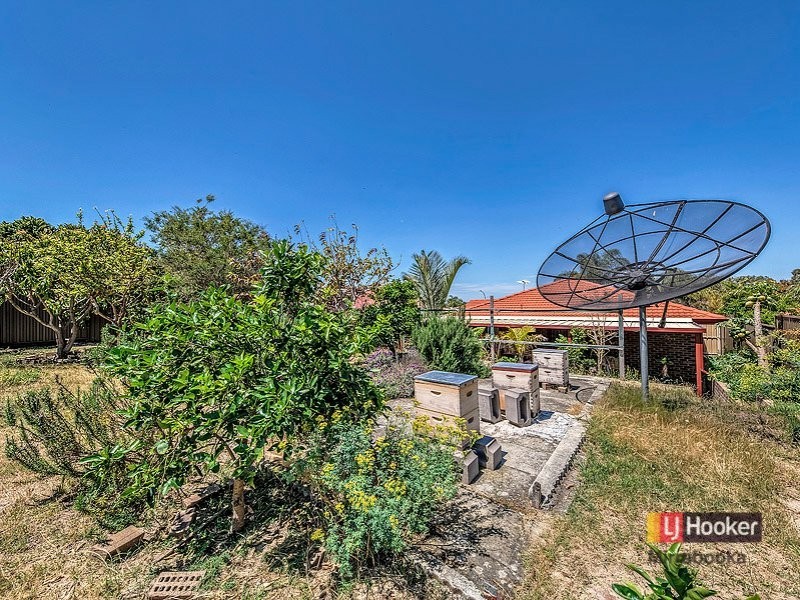 100 Apple Blossom Dr, Mirrabooka WA 6061