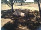 20271 Great Southern Highway, Highbury WA 6313