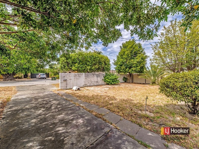 31 Almurta Street, Nollamara WA 6061