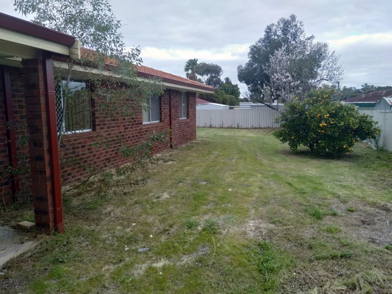 43 Mirrabooka Avenue, Westminster WA 6061