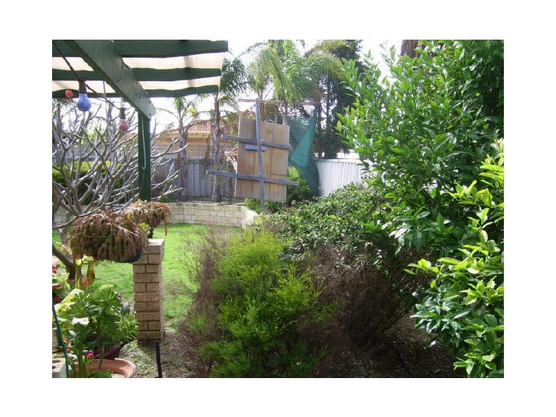 52 Frangipani Loop, Marangaroo WA 6064