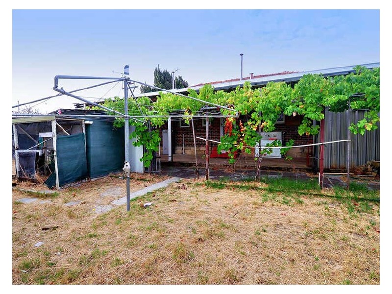 174 Morley Drive, Yokine WA 6060