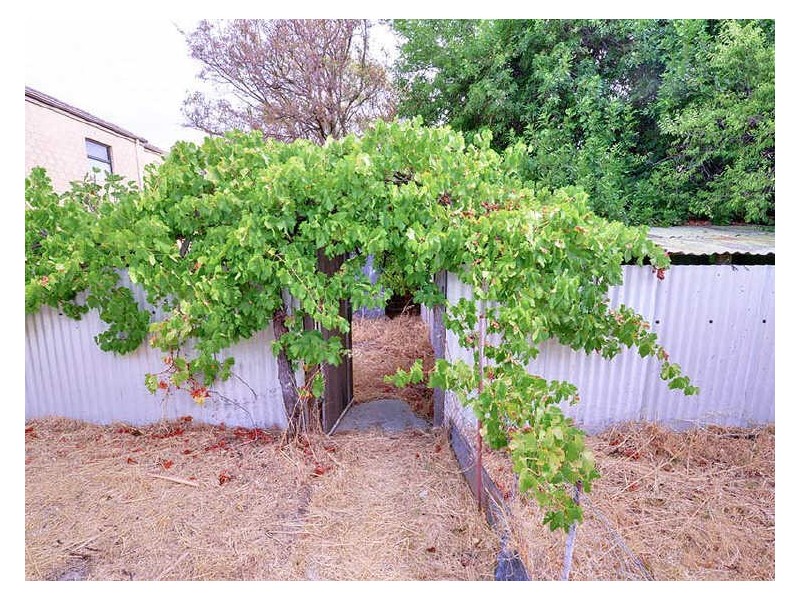 174 Morley Drive, Yokine WA 6060