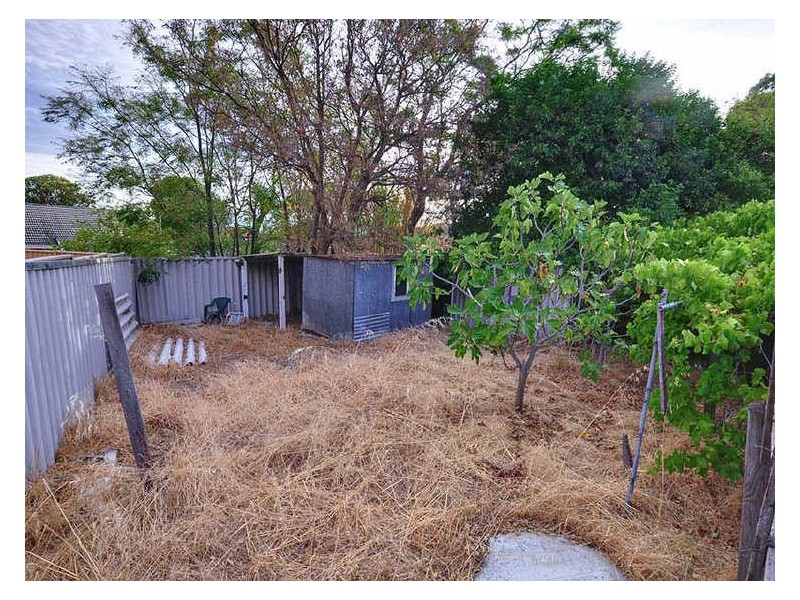 174 Morley Drive, Yokine WA 6060