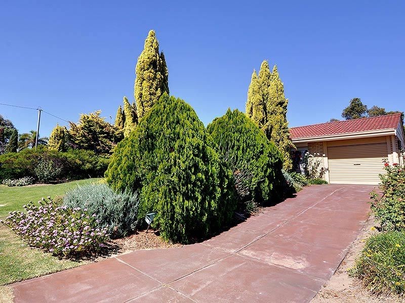 44 Greenfields Circle, Hocking WA 6065