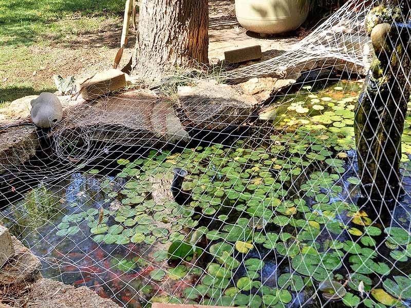 44 Greenfields Circle, Hocking WA 6065