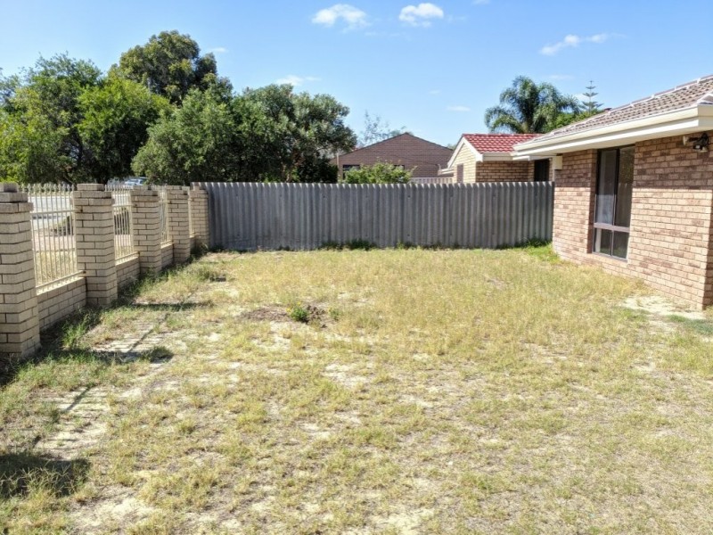 19 Mottlecah Way, Mirrabooka WA 6061