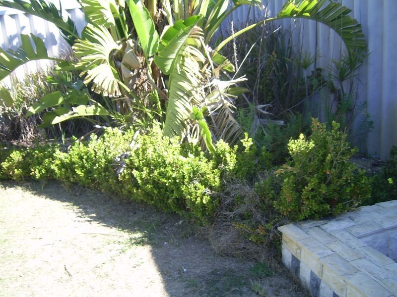 55 Mitra Loop, Beechboro WA 6063