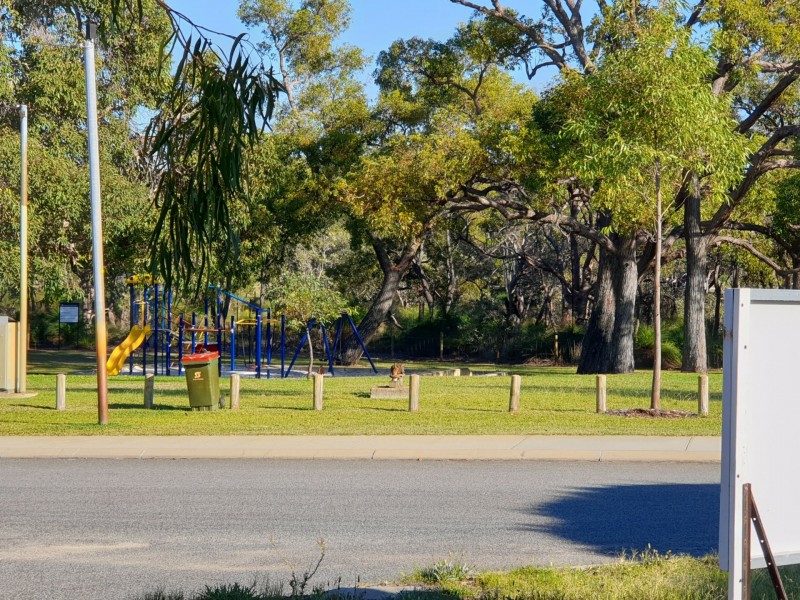 16 Derrington Cr, Balga WA 6061