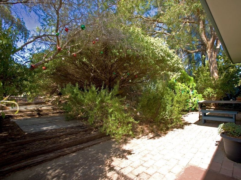 99 Waddington Crescent, Koondoola WA 6064