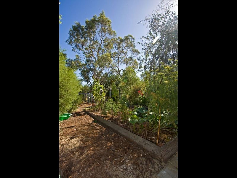 99 Waddington Crescent, Koondoola WA 6064