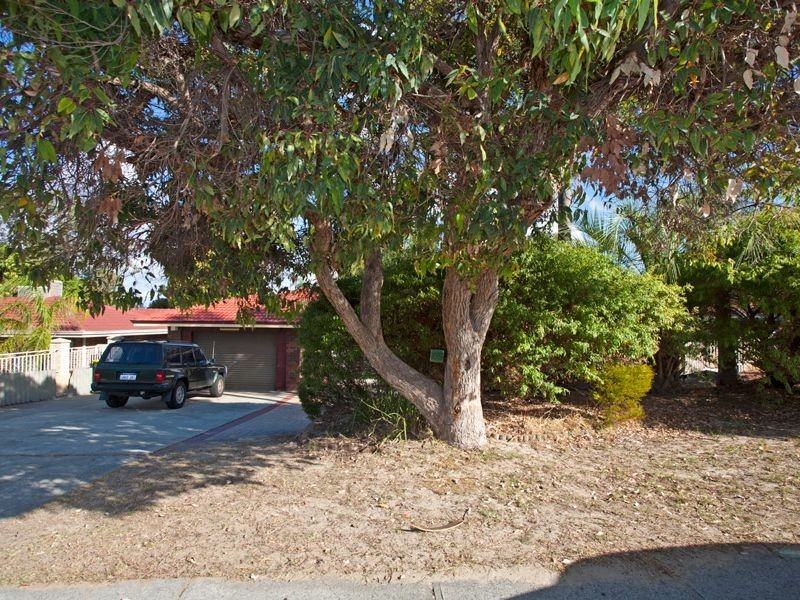 105 Waddington Crescent, Koondoola WA 6064